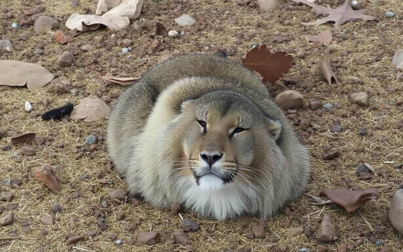 scopri l'entusiasmante debutto di ke huy quan nel marvel cinematic universe e come il suo talento arricchisce questo universo epico.